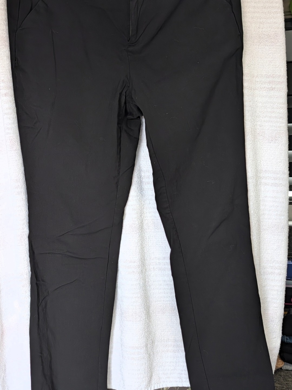 Women's Studio By Torrid 10xt Pants